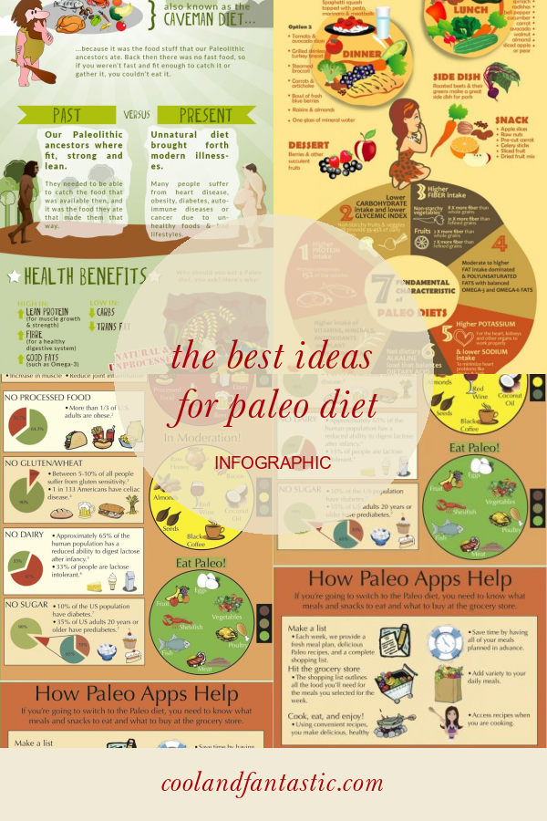 The Best Ideas For Paleo Diet Infographic - Home, Family, Style And Art ...